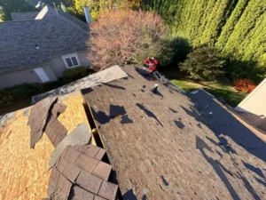 Rockford storm damage