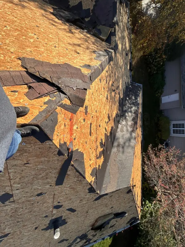 Roscoe roofing contractor
